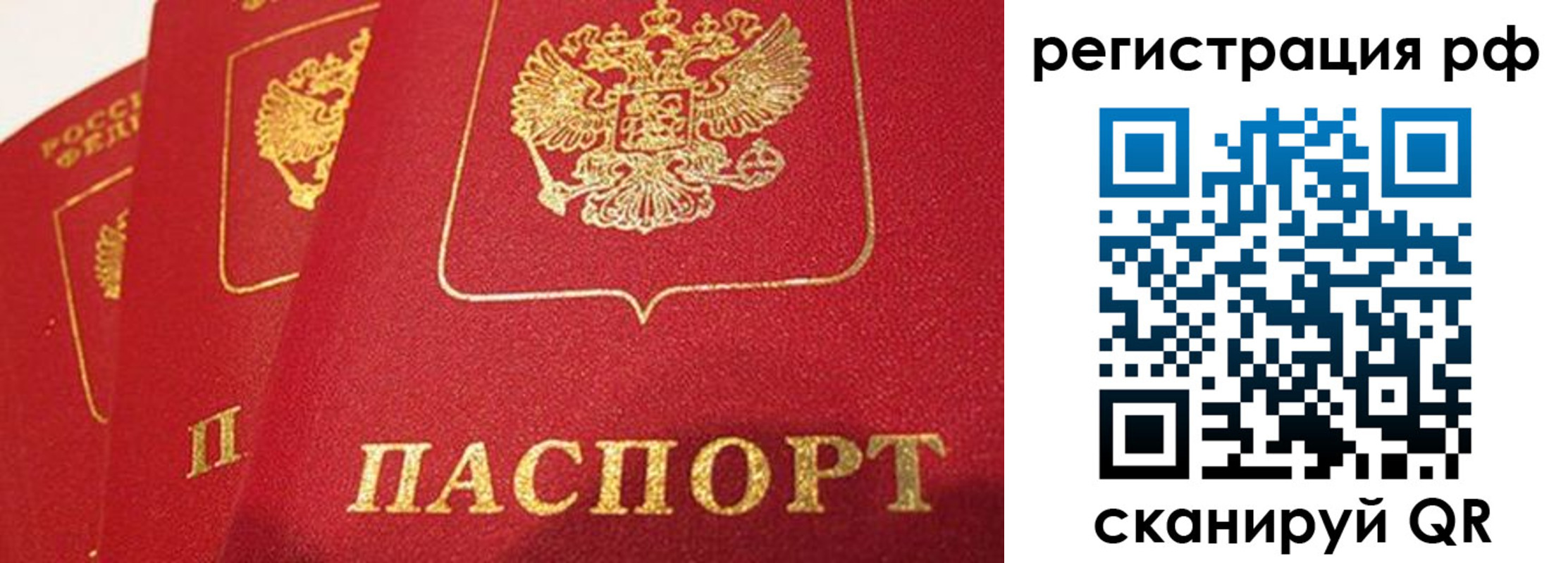 прописка поиск в Полярном